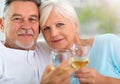 Senior couple drinking wine Royalty Free Stock Photo