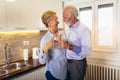 Senior couple drinking wine in kitchen Royalty Free Stock Photo