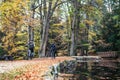 A senior couple with electrobikes cycling outdoors on a road in park in autumn. Royalty Free Stock Photo