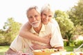 Senior Couple Enjoying Meal In Garden Royalty Free Stock Photo