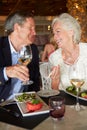 Senior Couple Enjoying Meal In Restaurant Royalty Free Stock Photo
