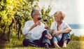 Senior couple enjoying red wine outdoors, woman and man clinking Royalty Free Stock Photo