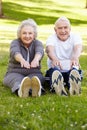 Senior couple exercising Royalty Free Stock Photo