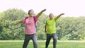 Senior couple exercising and arm stretches  in the park Royalty Free Stock Photo