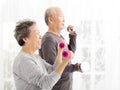 senior couple exercising with dumbbells