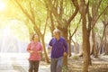 Senior Couple Exercising In Park Royalty Free Stock Photo