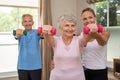 Senior couple exercising using dumbbells Royalty Free Stock Photo