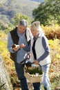 Senior couple in forest picking up mushrooms