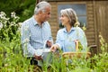 Senior Couple In Garden At Home Working On Raised Vegetable Beds Together