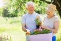 Senior couple gardening Royalty Free Stock Photo
