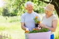 Senior couple gardening