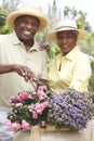 Senior Couple Gardening Together Royalty Free Stock Photo