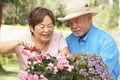 Senior Couple Gardening Together Royalty Free Stock Photo