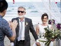 Senior couple getting married at the beach Royalty Free Stock Photo