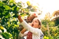 Senior couple with grandaughter gardening in the backyard garden Royalty Free Stock Photo