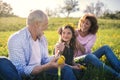 Senior couple with granddaughter outside in spring nature, making dandelion wreath. Royalty Free Stock Photo