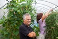 Senior couple growing tomatoes at greenhouse on farm Royalty Free Stock Photo