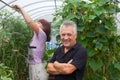 Senior couple growing tomatoes at greenhouse on farm Royalty Free Stock Photo