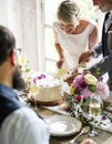 Senior Couple Hands Cutting Wedding Cake Royalty Free Stock Photo