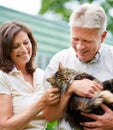 Senior couple, happy and cat in garden for family, care and bonding together in retirement. Comfort, elderly and animal Royalty Free Stock Photo