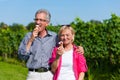 Senior couple having walk with ice cream Royalty Free Stock Photo