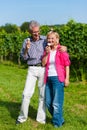 Senior couple having walk with ice cream Royalty Free Stock Photo