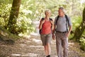 Senior Couple Hiking Along Woodland Path In Lake District UK Together Royalty Free Stock Photo