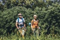 Senior couple hiking in forest wearing backpacks and hiking poles. Nordic walking, trekking. Royalty Free Stock Photo