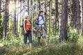 Couple hiking in forest wearing backpacks and hiking poles. Nordic walking, trekking. Healthy lifestyle Royalty Free Stock Photo