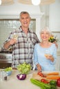Senior couple holding glasses of wine Royalty Free Stock Photo
