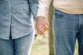 Senior couple holding hands over nature background Royalty Free Stock Photo