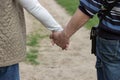 Senior couple holding hands together and walking in spring garden road. Elderly marriage in love. Relationship concept. Royalty Free Stock Photo