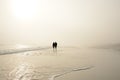 Senior couple holding hands walking on beach enjoying sunrise. Royalty Free Stock Photo