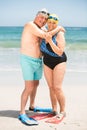 Senior couple hugging at the beach Royalty Free Stock Photo