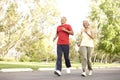 Senior Couple Jogging In Park Royalty Free Stock Photo