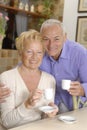 Senior couple kitchen. Royalty Free Stock Photo