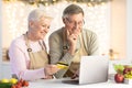 Senior Couple With Laptop And Credit Card Shopping Online Indoors Royalty Free Stock Photo