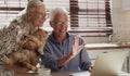 Senior couple, laptop and kitchen for video call with cat, wave and speaking to grandkids. Tech, web communication and