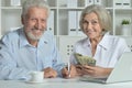 Senior couple with laptop and money Royalty Free Stock Photo