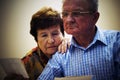 Senior couple looking at old photographs. Royalty Free Stock Photo