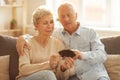 Senior Couple Looking at Pictures Royalty Free Stock Photo