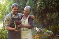 Senior couple looking sapling plant in garden