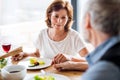 Senior couple in love having lunch indoors at home, holding hands. Royalty Free Stock Photo