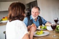 Senior couple in love having lunch indoors at home, talking. Royalty Free Stock Photo