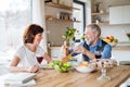 Senior couple in love having lunch indoors at home, talking. Royalty Free Stock Photo