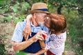 A senior couple in love kissing when picking apples in orchard in autumn. Royalty Free Stock Photo