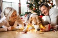 Senior couple with dog in front of Christmas tree.