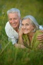 Senior couple lying on grass Royalty Free Stock Photo