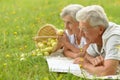 Senior couple lying on green grass Royalty Free Stock Photo