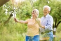 Senior couple outdoors with tree swing Royalty Free Stock Photo